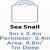 Sea Snail